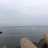 https://www.viewok.co.kr/data/itemuse/thumb-1935545628_d0y6T1Zc_IMG_7027_100x100.jpg